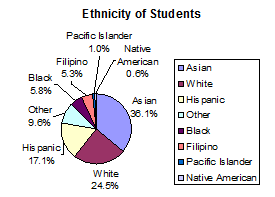 Pie chart showing ethnicity from largest to smallest.