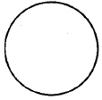A whole circle.