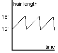 A right slanted saw-tooth graph oscillating between 12 and 18 inches.