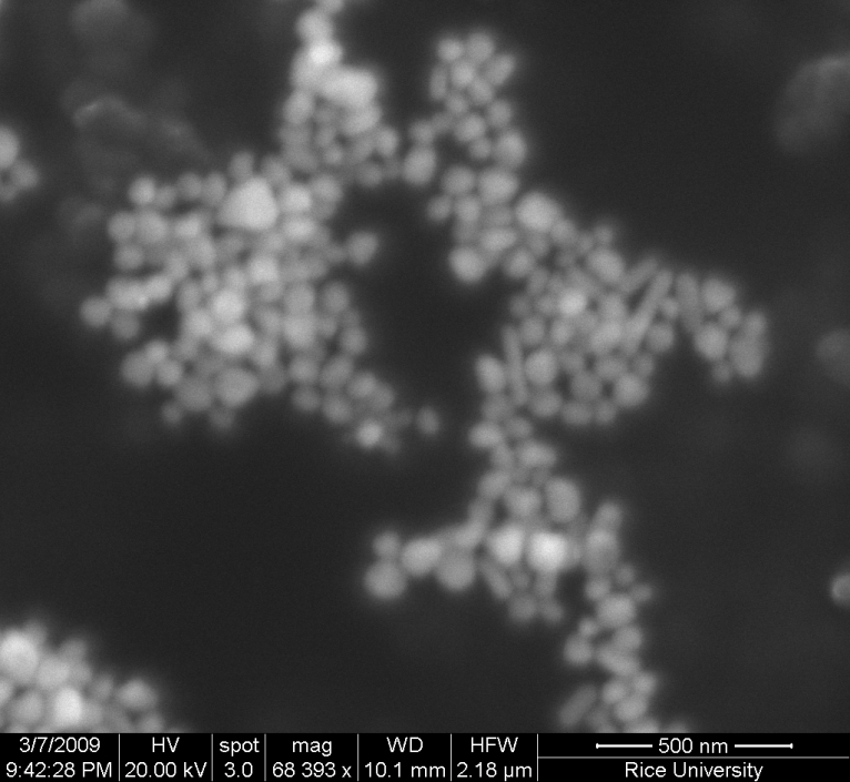 An SEM image of larger silver nanoparticles as seen using a Scanning Electron Microscope