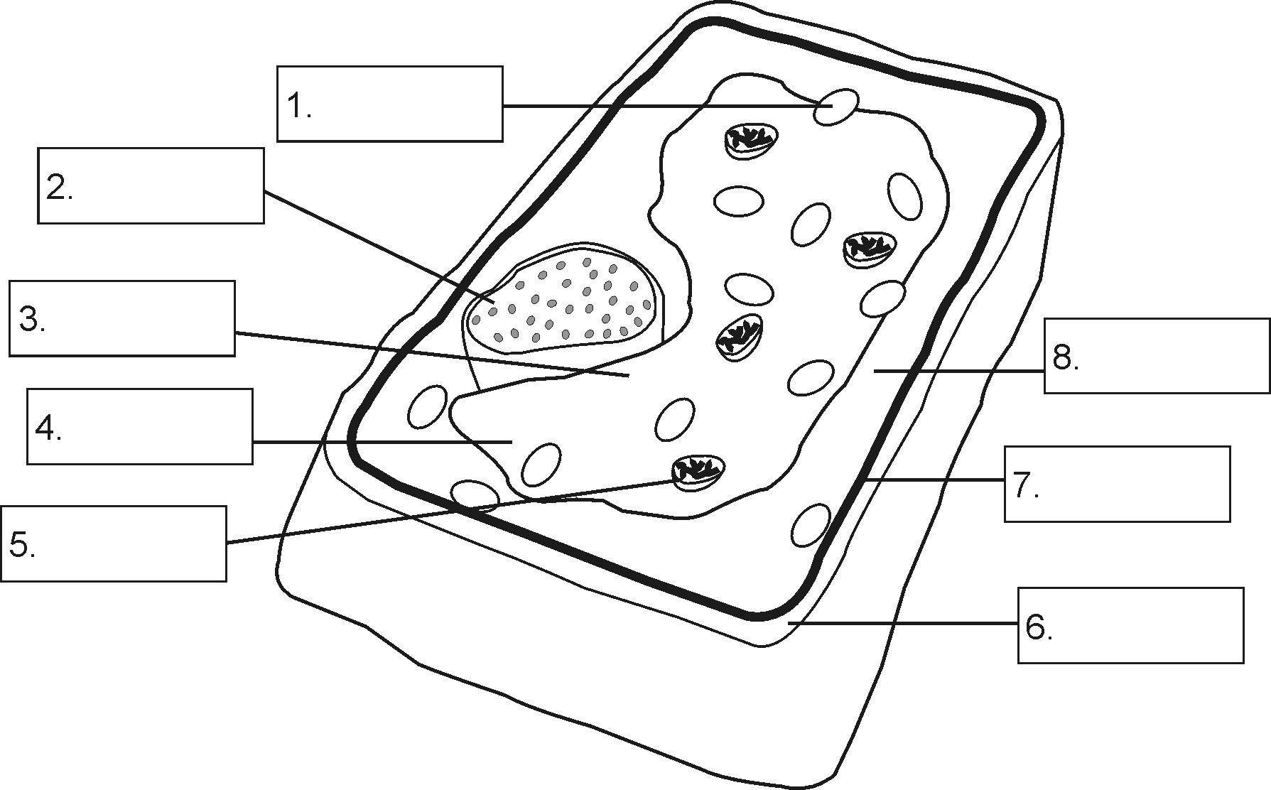 Structure of a plant cell By OpenStax | QuizOver.com