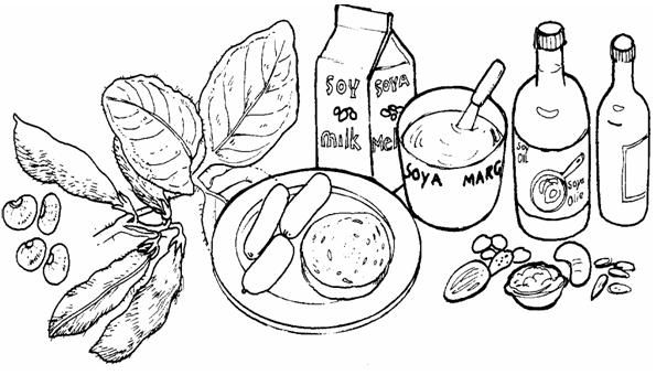 Featured image of post Healthy Food Easy Drawing