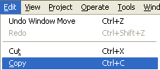 A typical edit menu in window. The item 'copy' is highlighted in blue.