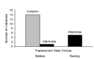 A chart comparing two different periods before and during when infanticide occurred.