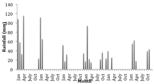 A chart of rainfall depth by month.