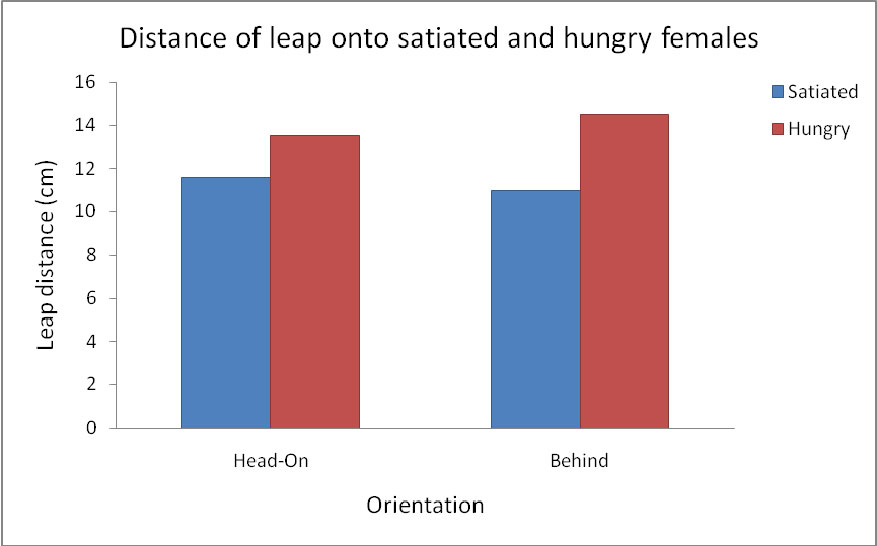 chart comparing female hunger treatment to male approach and leaping distance