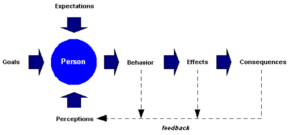 A flow chart. Perceptions, goals, and expectations feed into person, which feeds out to behavior, effect, and consequences. These three elements then provide feedback to perceptions.