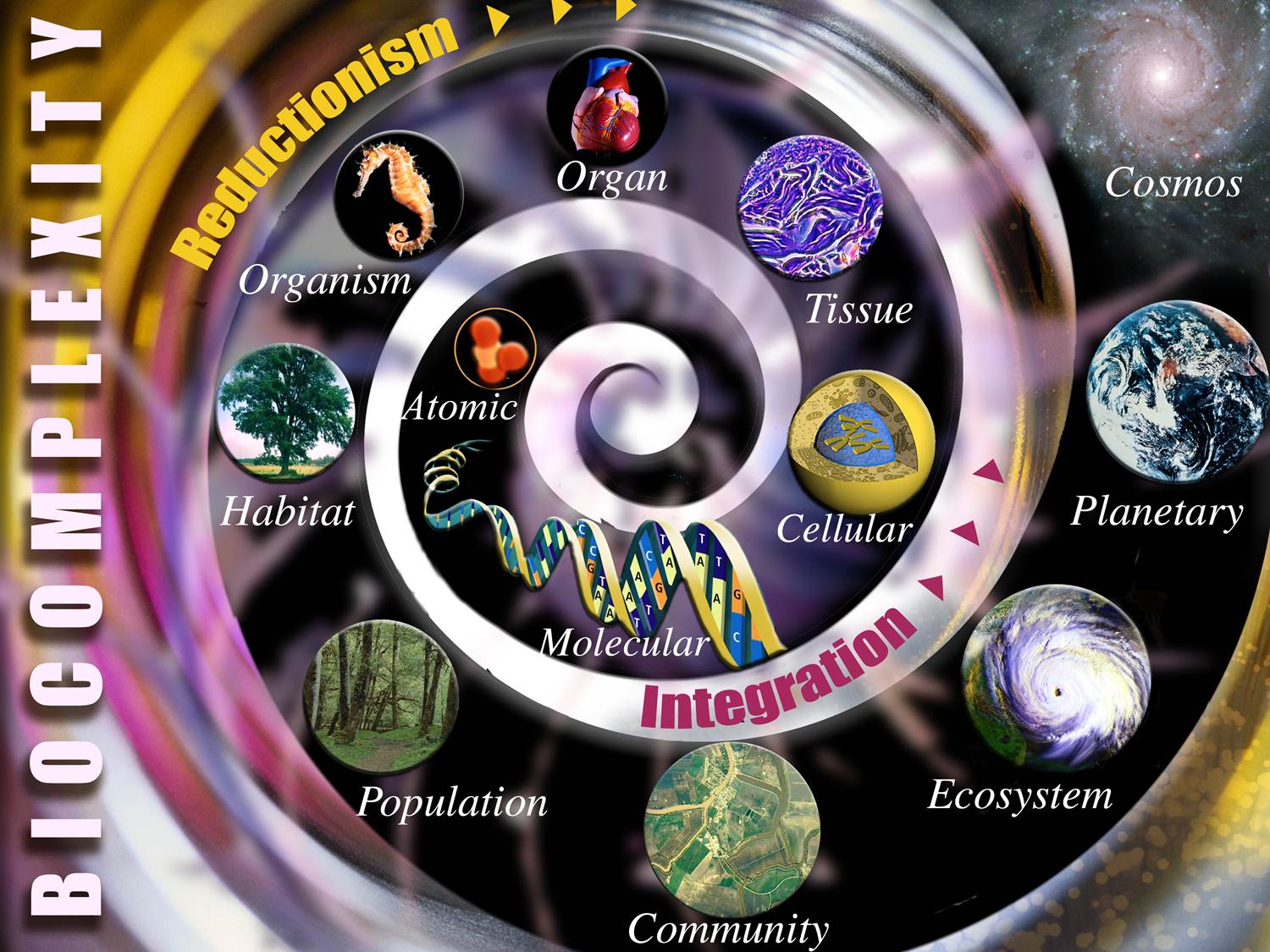 Image of Biocomplexity Spiral
