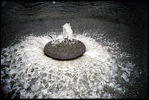 Image of Overflowing Sanitary Sewer