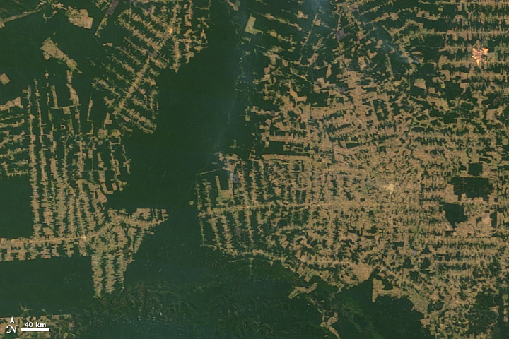 Deforestation in the Amazon (2010)