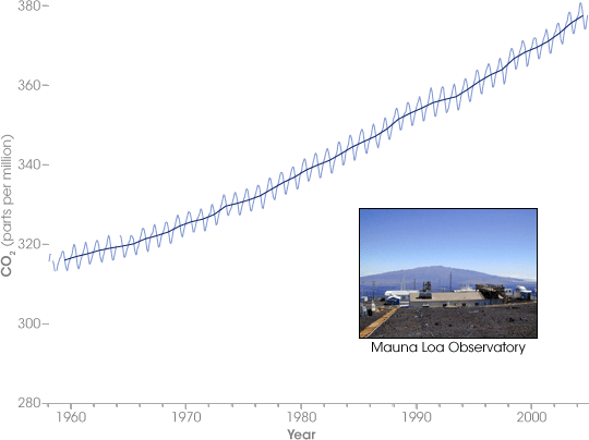 CO2 concentrations at the Mauna Loa Observatory
