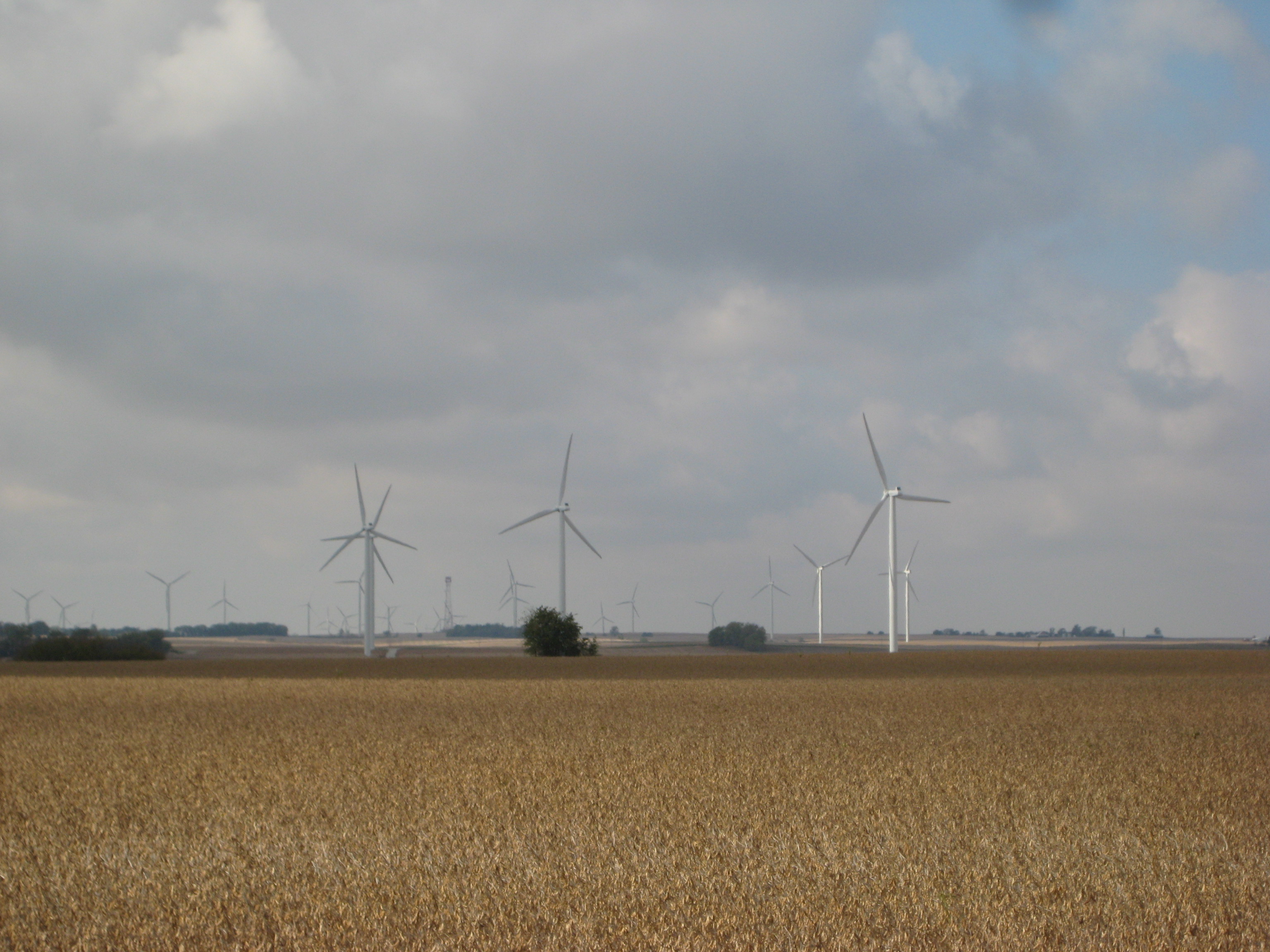 Twin Groves Wind Farm, Illinois