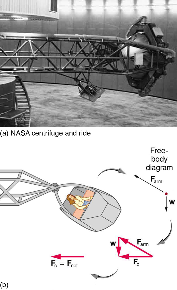 Figure a shows a NASA centrifuge n a big hall. In figure b, there is a girl sitting in the cage of the centrifuge. The centripetal force on the cage is directed toward left. The direction of the weight of the cage is downward and the force on the arm is directed in north-west direction.