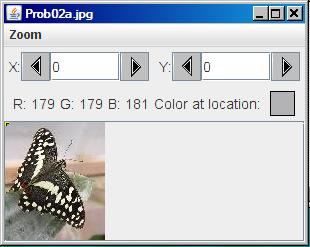This is an image of a butterfly that will be superimposed on a beach scene to form a composite image.