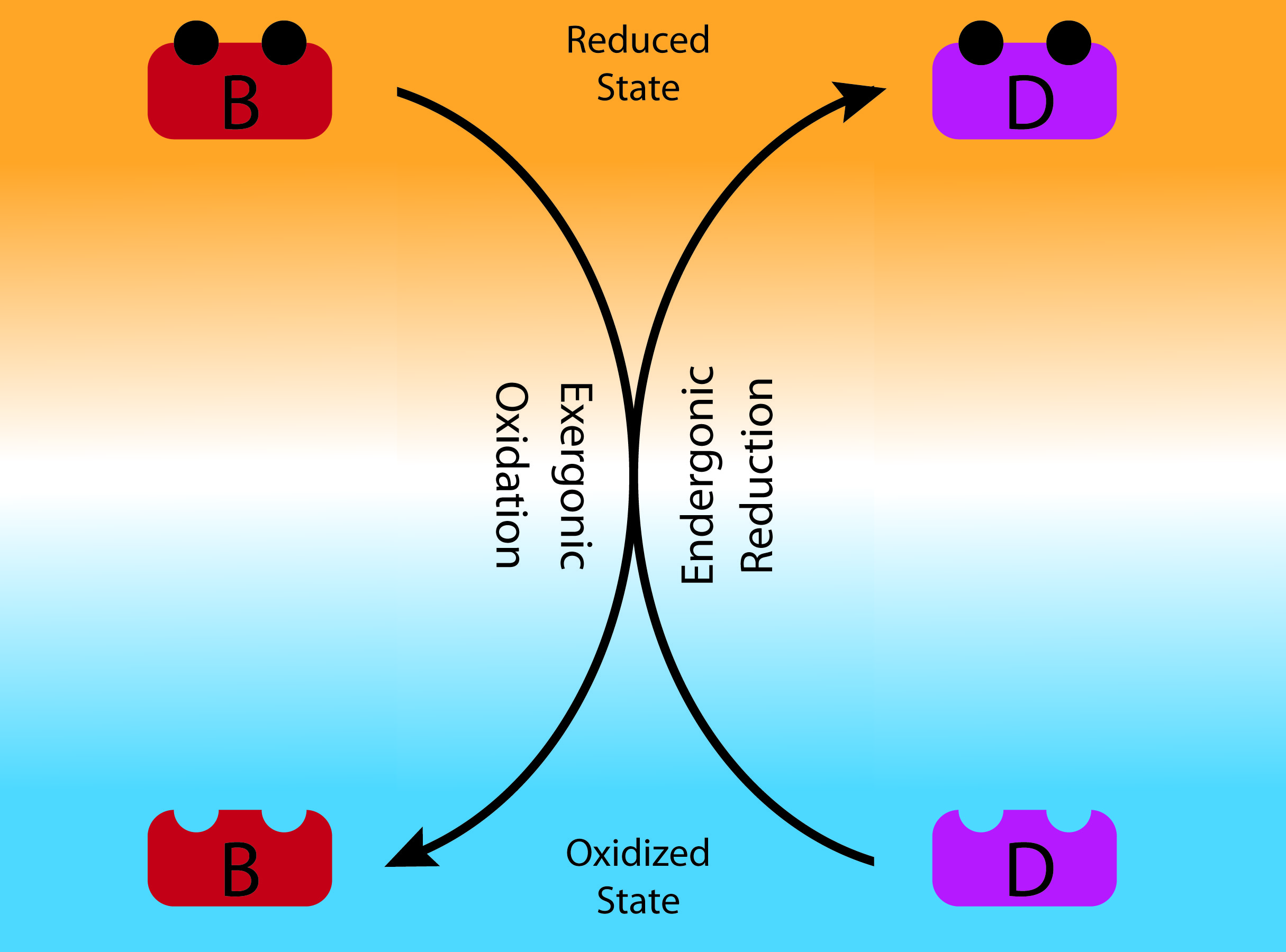 Oxidation Reduction coupling