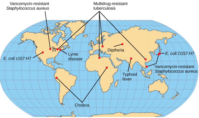 Emerging or re-emerging bacterial diseases are shown on a world map. Multidrug-resistant tuberculosis is emerging in North America, Europe, and Asia. Vancomycin-resistant Staphylococcus aureus and E. coli O157:H7 are emerging in North America and East Asia. Lyme disease is spreading in North America. Cholera is emerging in Africa and South America. Diptheria and typhoid fever are re-emerging in Asia.