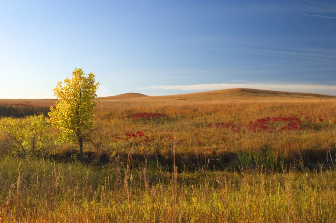 Fall colors on Konza Prairie