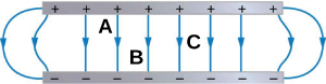 There is a gray long thin rectangle at the top of the figure with black pluses. The same size gray long thin rectangle is at the bottom of the figure with minuses below the positives. There are blue lines with an arrow in the middle connecting each + to each -. The two arrows on the left start at the same first + are curved toward the left and hit the first bottom -. The two lines on the right are curved toward the right and connect the last + and -. The six center arrows are vertical. Between line three and four near the + rectangle is an A. A B is between lines four and five near the – rectangle. C is halfway between the + and – rectangle between lines six and seven.