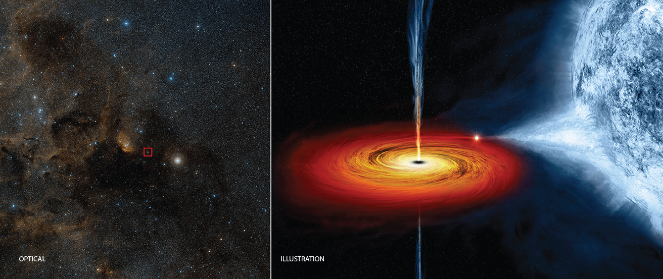 A Stellar Mass Black Hole. The image on the left, labeled “Optical”, is a visible light image of a region of the constellation Cygnus. At the center a red box indicates the position of the X-ray source Cygnus X-1. The figure on the left, labeled “Illustration”, is a rendering of the black hole and its blue companion star. The blue star is at right, with material streaming away from the surface toward the red and orange colored disk surrounding the black hole. Jets of material, oriented perpendicular to the disk, are moving away from the black hole located at the center of the disk.