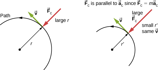 The figure consists of two semicircles. The semicircle on the left has radius r and bigger than the one on the right, which has radius r prime. In both the figures, the direction of the motion is given as counter-clockwise along the semicircles. A point is shown on the path, where the radius is shown with an arrow pointing out from the center of the semicircle. At the same point, the centripetal force, F sub c, is shown pointing inward, in the opposite direction to that of radius arrow. The velocity, v, is shown at this point as well, and it is tangent to the semicircle, pointing left and up, perpendicular to the forces. In both the figures, the velocity is same, but the radius prime is smaller and centripetal force is larger in the figure on the right. It is noted that vector F sub c is parallel to vector a sub c since vector F sub c equals m times vector a sub c.