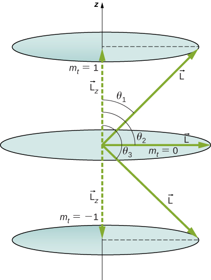 The image shows three possible values of a component of a given angular momentum along z-axis. The upper circular orbit is shown for m sub t = 1 at a distance L sub z above the origin. The vector L makes an angle of theta one with the z axis. The radius of the orbit is the component of L perpendicular to the z axis. The middle circular orbit is shown for m sub t = 0. It is in the x y plane. The vector L makes an angle of theta two of 90 degrees with the z axis. The radius of the orbit is L. The lower circular orbit is shown for m sub t = -1 at a distance L sub z below the origin. The vector L makes an angle of theta three with the z axis. The radius of the orbit is the component of L perpendicular to the z axis.