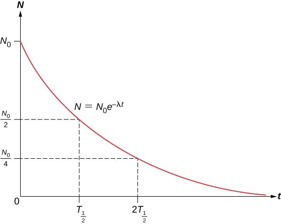 A graph of N versus t is shown. It is labeled N equal to N subscript 0 e to the power minus lambda t. The value of N is maximum, N subscript 0, at t =0 and it reduces with time till it reaches 0. At t = T subscript half, N = N subscript 0 by 2 and at t = 2T subscript half, N = N subscript 0 by 4.