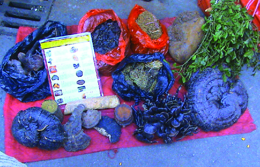 Photo of a variety of plants being sold by a street vendor.