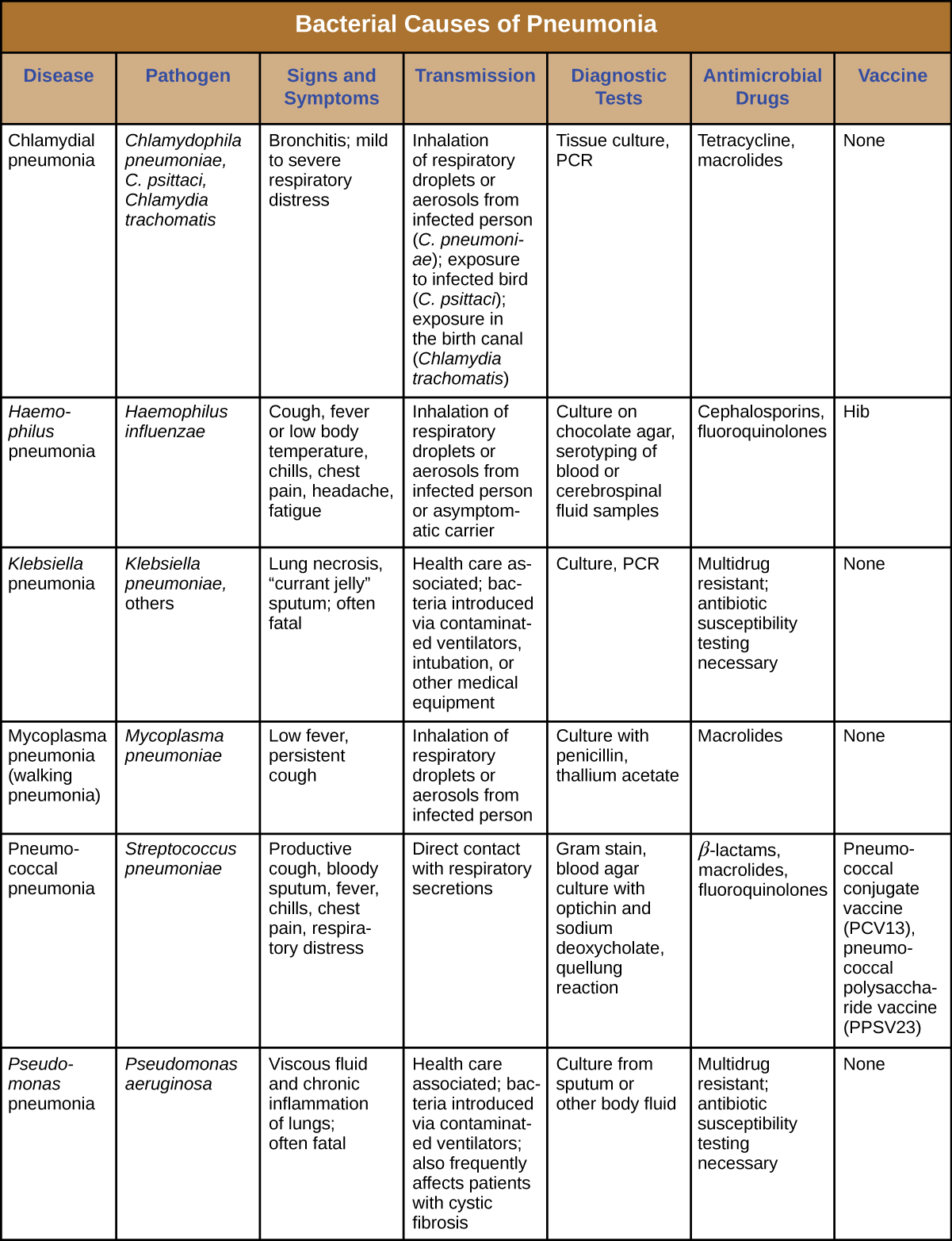 Table titled: Bacterial Causes of Pneumonia. Columns: Disease, Pathogen, Signs and Symptoms, Transmission, Diagnostic Tests, Antimicrobial Drugs, Vaccine. Chlamydial pneumonia; Chlamydophila pneumoniae, C. psittaci, Chlamydia trachomatis; Bronchitis; mild to severe respiratory distress; Inhalation of respiratory droplets or aerosols from infected person (C. pneumoniae); exposure to infected bird (C. psittaci); exposure in the birth canal (Chlamydia trachomatis); Tissue culture, PCR; Tetracycline, macrolides; None. Haemophilus pneumonia; Haemophilus influenza; Cough, fever or low body temperature, chills, chest pain, headache, fatigue; Inhalation of respiratory droplets or aerosols from infected person or asymptomatic carrier; Culture on chocolate agar, serotyping of blood or cerebrospinal fluid samples; Cephalosporins, fluoroquinolones; Hib. Klebsiella pneumonia; Klebsiella pneumoniae, others; Lung necrosis, “currant jelly” sputum; often fatal; Health care associated; bacteria introduced via contaminated ventilators, intubation, or other medical equipment; Multidrug resistant; antibiotic susceptibility testing necessary; None. Mycoplasma pneumonia (walking pneumonia); Mycoplasma pneumoniae; Low fever, persistent cough; Inhalation of respiratory droplets or aerosols from infected person Culture with penicillin, thallium acetate; Macrolides; None. Pneumococcal pneumonia; Streptococcus pneumoniae; Productive cough, bloody sputum, fever, chills, chest pain, respiratory distress; Direct contact with respiratory secretions; Gram stain, blood agar culture with optichin and sodium deoxycholate, quellung reaction; β-lactams, macrolides or cephalosporin , fluoroquinolones; Pneumococcal conjugate vaccine (PCV13), pneumococcal polysaccharide vaccine (PPSV23). Pseudomonas pneumonia; Pseudomonas aeruginosa; Viscous fluid and chronic inflammation of lungs; often fatal; Health care associated; bacteria introduced via contaminated ventilators; also frequently affects patients with cystic fibrosis; Culture from sputum or other body fluid; Multidrug resistant; antibiotic susceptibility testing necessary; None.